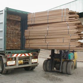 dry-timber-2